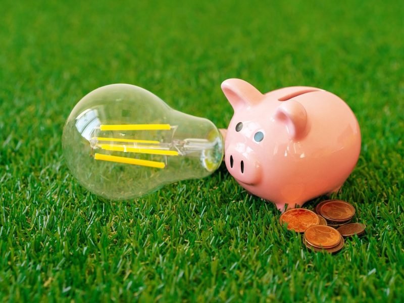 Piggy bank with energy saving lamp on grass