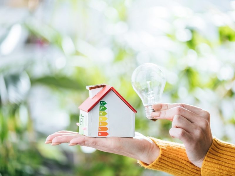 cropped view of woman holding led lamp and carton house, energy efficiency at home concept
