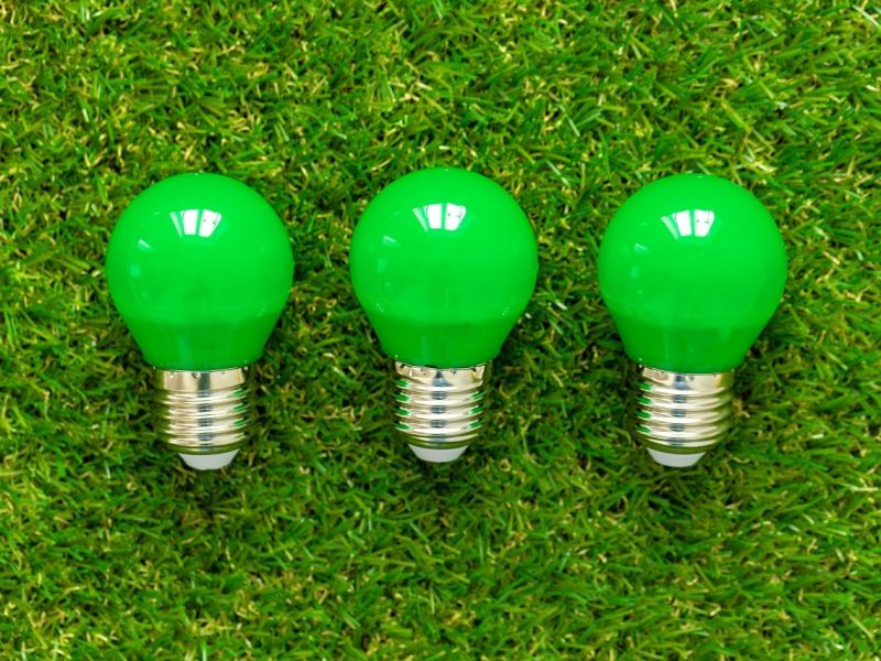 Energy efficient light bulb lying on grass