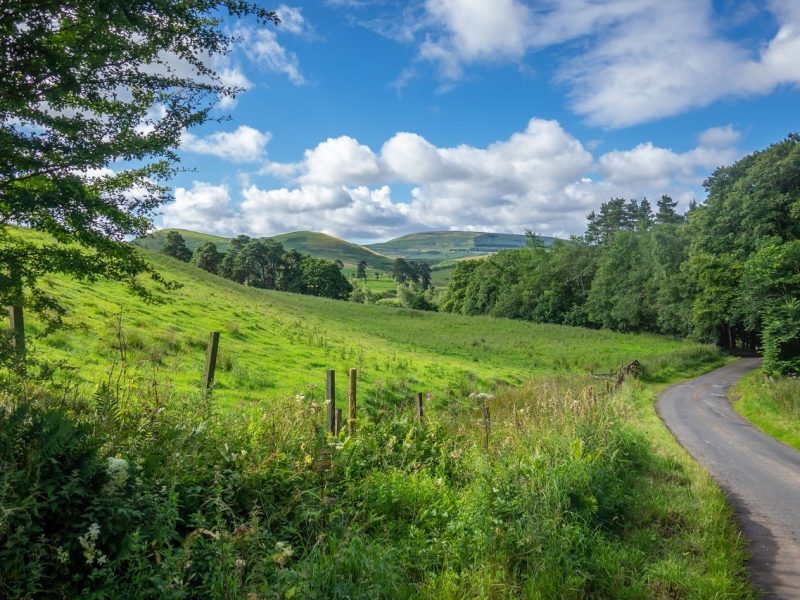 Winding Country Road