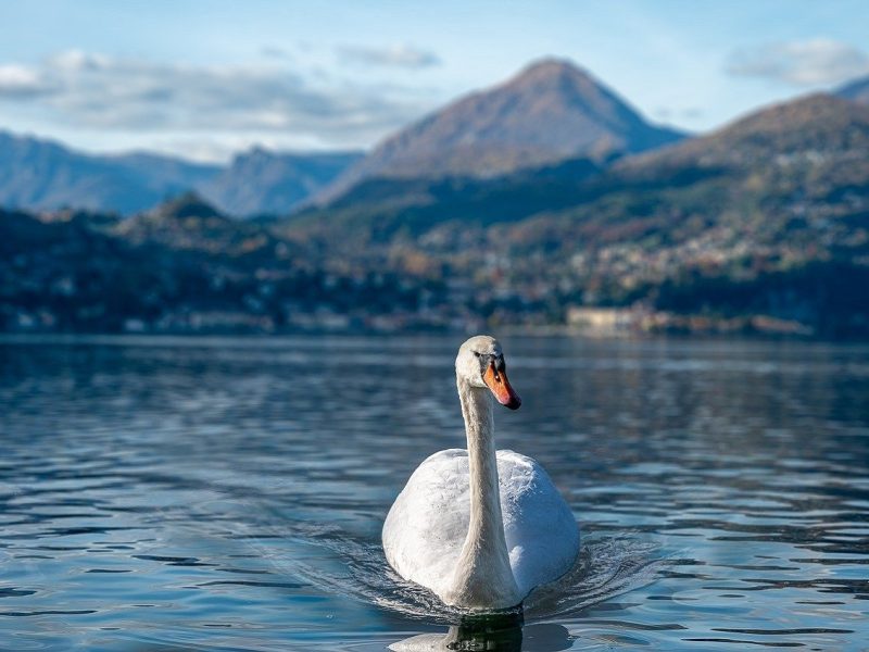 lago-como