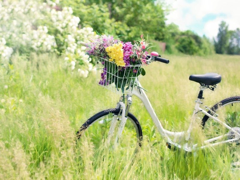 primavera4