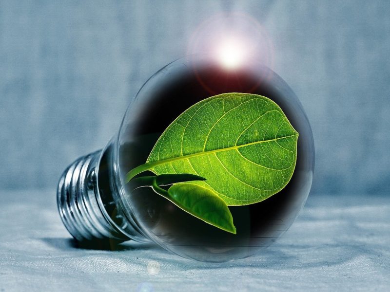 risparmio-energia-impresa